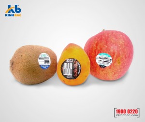 In tem dán hoa quả - DHQ04 In tem dán hoa quả - DHQ04