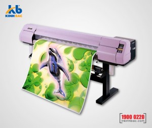 In decal PP - DPP04 In decal PP - DPP04