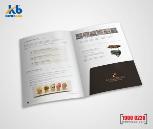 In kẹp file 2 mặt - C300gsm (pindo) In kẹp file 2 mặt - C300gsm (pindo)