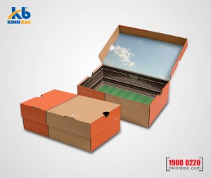 In hộp carton lạnh 07 In hộp carton lạnh 07