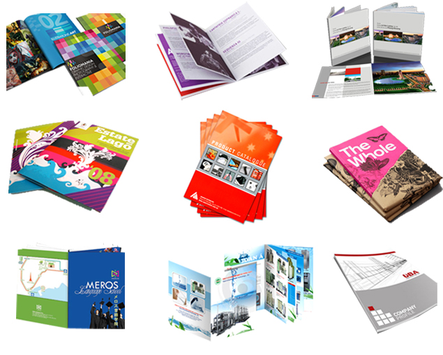 thiết kế in ấn catalogue giá rẻ tại Hà Nội - ảnh 2