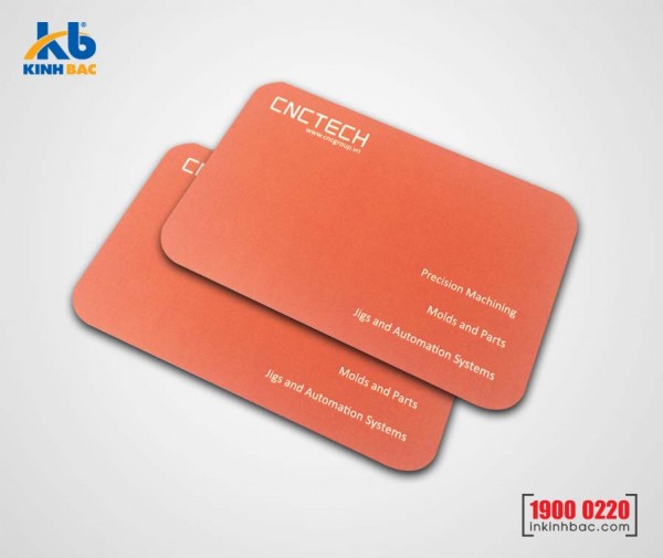 In danh thiếp, Name card - DTNC22